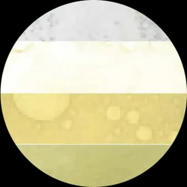 BE mucus color progression chart
