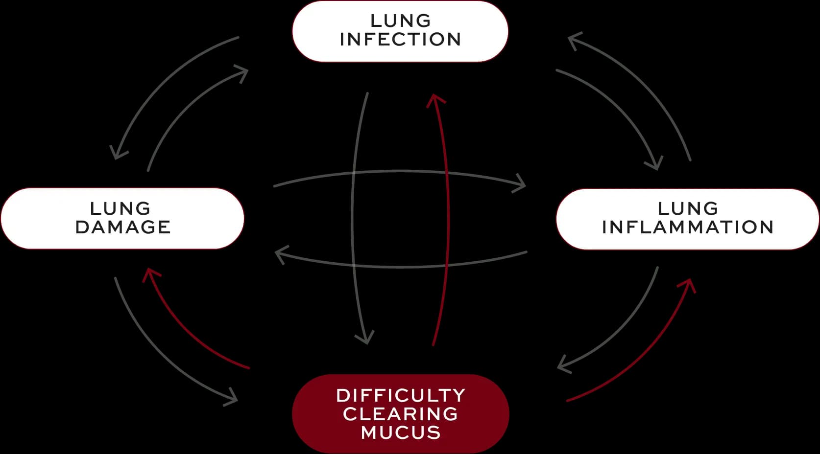 Bronchiectasis (BE) interconnected factors—difficulty clearing mucus