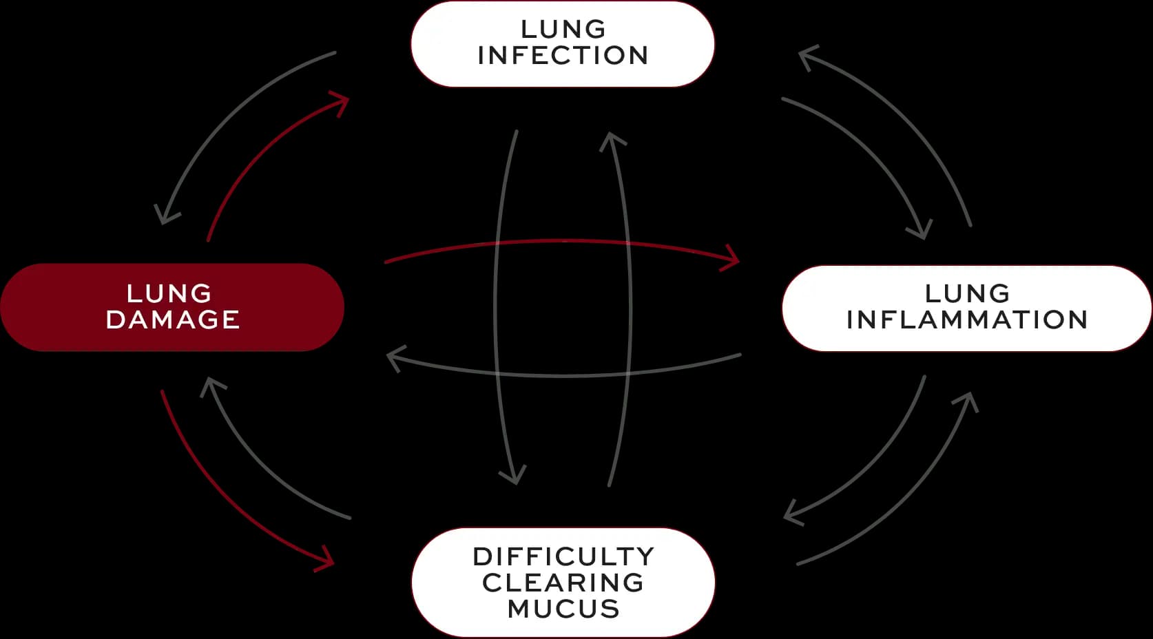 Bronchiectasis (BE) interconnected factors—lung damage