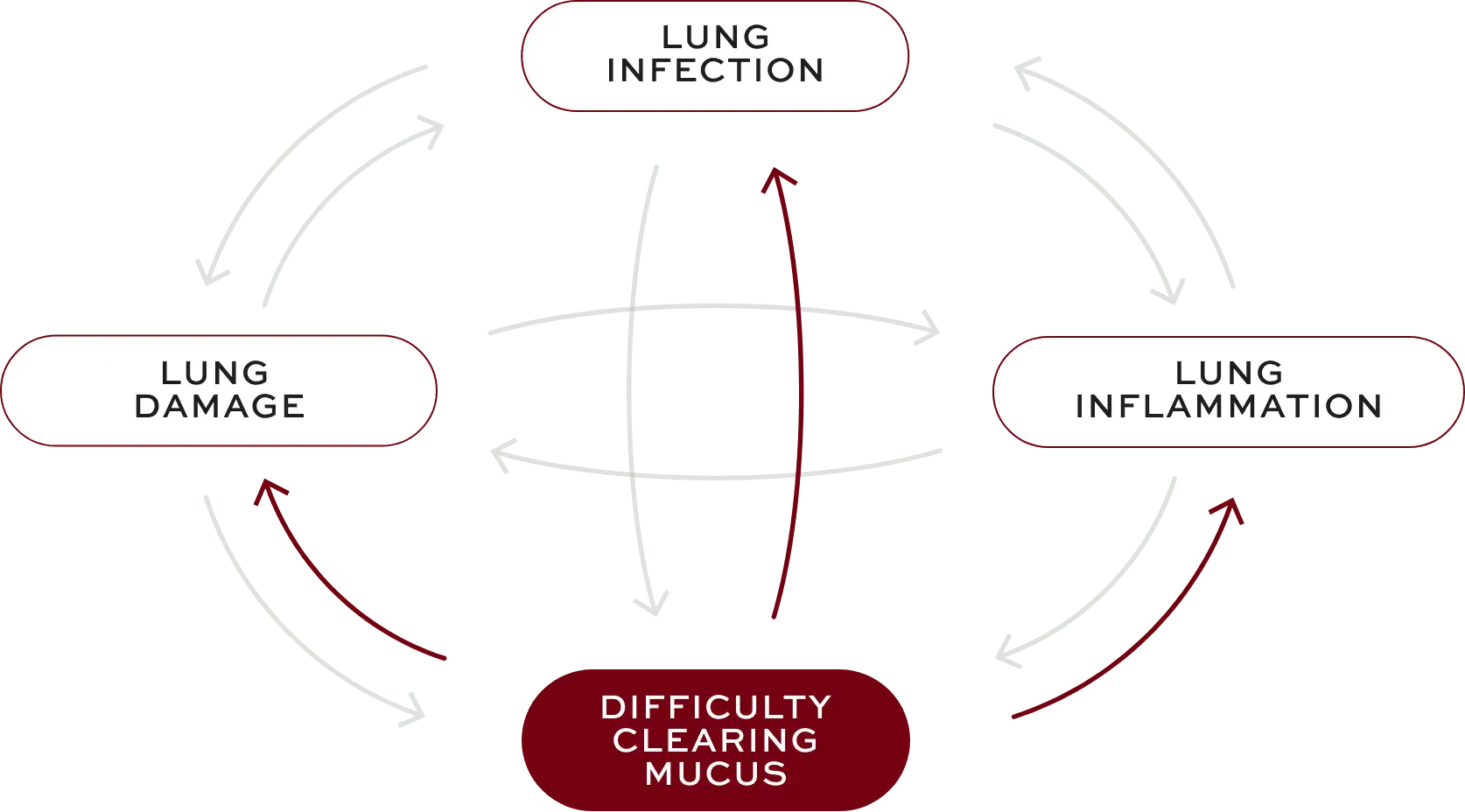 Bronchiectasis (BE) interconnected factors—difficulty clearing mucus