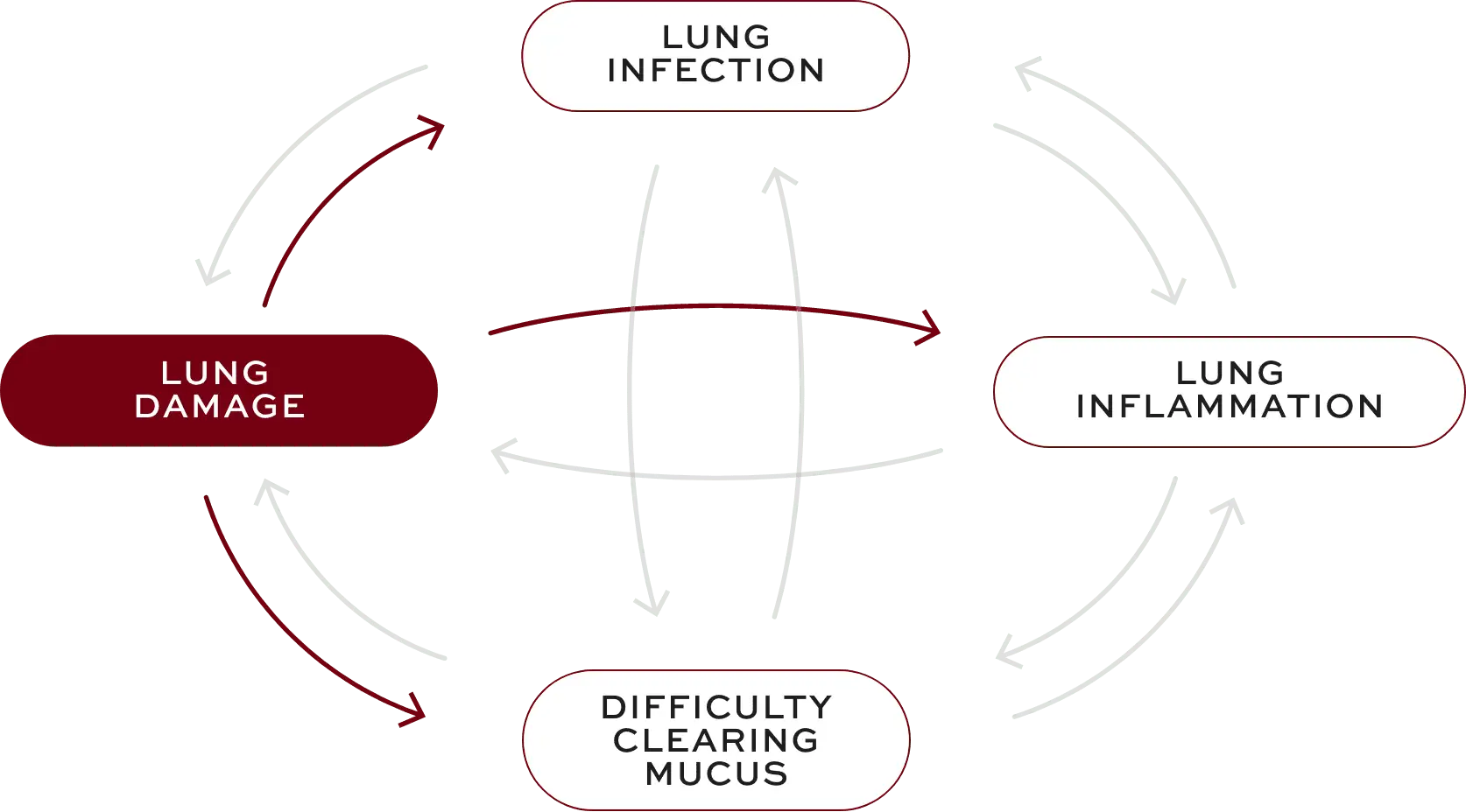 Bronchiectasis (BE) interconnected factors—lung damage